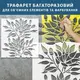 Трафарет для штукатурки, покраски многоразовый, декоративный пластиковый (534х500)