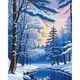 Картина по номерам "Зимний лес" 40x50 см
