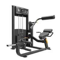 Розгинач спини/Прес машина Impulse Classic Abdominal and Back Extension