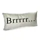 Подушка для дивана бархатная Brrrrr... 50x24 см (52BP_22NG013)