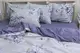 Комплект постельного белья с компаньоном S534 TAG satin (еmax)-543