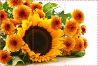Фотошпалери текстуровані, вінілові Квіти, 250х380 см, fo01inV_fl13851