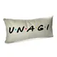 Подушка для дивана бархатная Unagi 50х24 см (52BP_DR003)