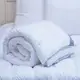 Одеяло двуспальное евро 195х215 см Comfort Pure Line Arya AR-TR1001143