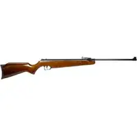Beeman Teton Gas Ram