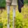 Палки трекинговые Vipole Trango Cork (S25 14)