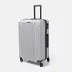 Чемодан большой 4 колеса Ricco Grande T1Castle1silver-XL