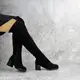 Ботфорты женские Fashion Skye 2178 40 размер 25,5 см Черный