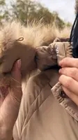 Куртка пальто женская зимняя бежевая П990 XL