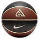 Мяч баскетбольный Nike ALL COURT 2.0 8P G ANTETOK