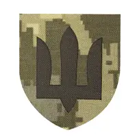Шеврон Camotec ВСУ Сухопутные войска (7*8) Пиксель (9061)