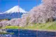 Фотообои текстурированные, виниловые Горы, реки, 250х380 см, fo01inV_pr11982