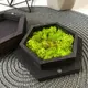 Коробочка на свадьбу для колец, коробка с именами для обручальных колец, свадебная шкатулка с гравировкой