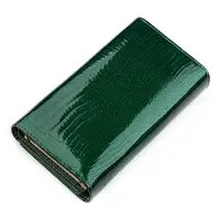 Гаманець жіночий ST Leather 18428 S8001A зручний Зелений