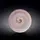 Тарелка обеденная Wilmax Spiral Lavander WL-669714-A 25.5 см