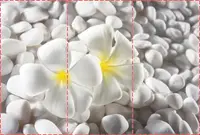 Фотошпалери текстуровані, вінілові Квіти, 250х380 см, fo01inV_fl102498