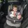 Автокресло Lionelo Bastiaan One 0-36kg Grey Graphite