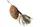 Блесна вращающаяся DAM MADCAT Big Blade Spinner 55g тройник №3/0 goldfish