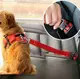 Автомобильный ремень безопасности для домашних животных 11255 красный