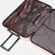 Чемодан большой 4 колеса Ricco Grande T1Bowtie21pudra-XL