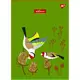 Тетрадь для записей А4 YES Avifauna 681930 48 листов