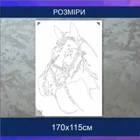 Трафарет для фарбування, Голова коня, одноразовий з самоклеючої плівки 170 х 115 см