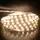 Светодиодная лента BIOM SMD5050-60 IP20 Премиум Т-БЕЛАЯ G.2 1м