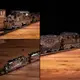 Коллекционная модель-конструктор Metal Time Heavy Loco механический грузовой карго поезд MT023