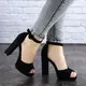 Женские босоножки на каблуке Fashion Danny 1752 40 размер 25,5 см Черный