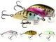 Воблер D.A.M. Effzett Pro-Lite Shallow Crank (bluegill) FL (50мм (6гр))