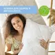 Подушка Air Dream Classic  40х60 см IDEIA два чехла с молнией антиаллергенная стеганная, регулирование высоты