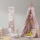 Детская наклейка ростомер пионы 30х155 150821101