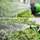 Шланг для полива X HOSE 22,5 м с распылителем Green