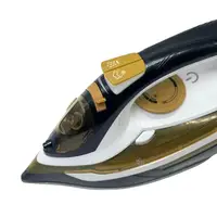 Потужна праска Hoffmans HM-9031 2800W • З паровим ударом і вертикальним відпарюванням