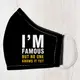 Маска защитная для лица I`m famous but no one knows it yet M-L LMM_20O002