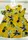 Платье Pineapple желтое 3120, розмір 120