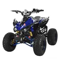 Квадроцикл Profi HB-EATV1000Q2-4 MP3