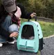 Рюкзак-переноска для кошек и собак 41х32х19 CosmoPet CP-36 Green