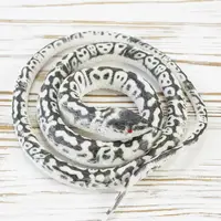 Резиновая змея 75см KP (черно-белая)