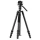 Штатив Vanguard Vesta Go 234CV10 (Vesta Go 234CV10)