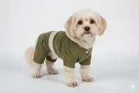Костюм для собак Вельвет 25*28  см