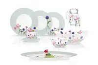Столовый сервиз Luminarc Rosana Trefle N2171 46 предметов