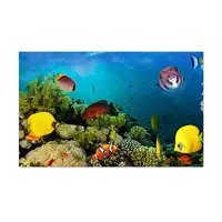 Наклейка в акваріум 3D морське дно, в різних розмірах 40х65 см (650х400)