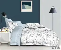 Комплект постельного белья с компаньоном S536 TAG satin (1,5-sp)-545