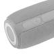 Колонка портативная Bluetooth T&G TG653 grey серая