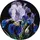 Картина по номерам (круглая) "Нежные ирисы" ★★★