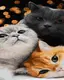 Картина по номерам ATG00088 Коты 40*50см Никитошка
