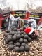 Набор для суточной рыбалки в холодной воде осень, весна , Octopus Black Pepper от Carp Drive