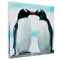 Картина на холсте Пингвины 50x50 см (H5050_15NG016)