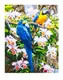 Картина по номерам Папугайчики, 40 х 50 см, краски, кисти. Multicolor (1131540094)